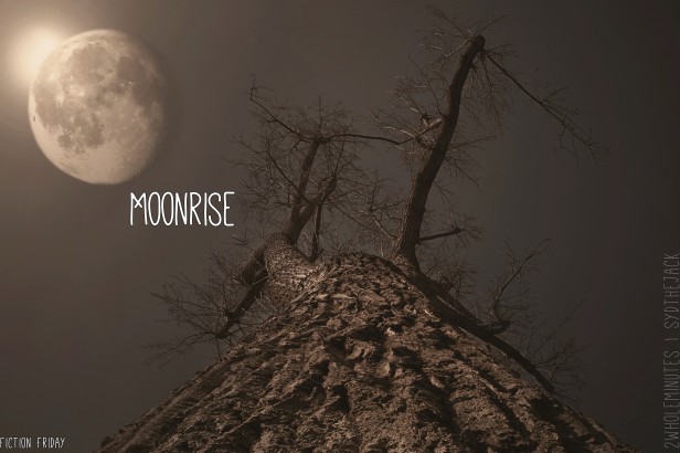 moonrise2